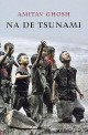 Na de tsunami