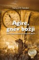 Agire, gnev božji : ekvinocijalna pustolovina Lopea de Agirea