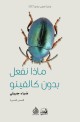 ‏ماذا نفعل بدون كالفينو