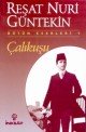 Çalıkuşu