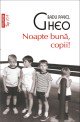 Noapte bună, copii! : roman
