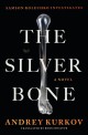 The Silver Bone (Kyiv Mysteries #1)