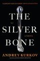 The Silver Bone (Kyiv Mysteries #1)